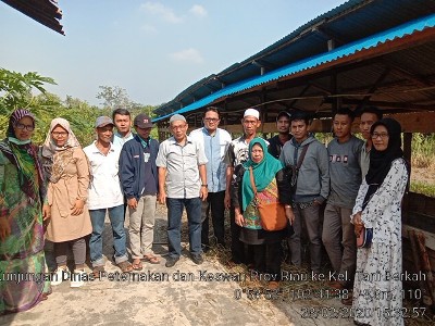 KEGIATAN VALIDASI BANTUAN TERNAK SAPI DI KELOMPOK BERKAH DESA ALAH AIR TIMUR