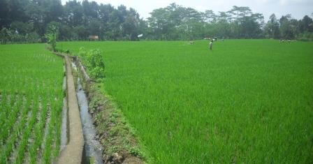 Menyimpan Air Dengan Waduk Mini 