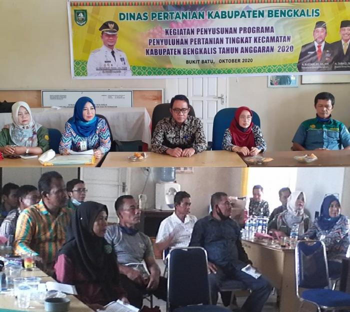 PENYUSUNAN PROGRAMA PENYULUHAN PERTANIAN KECAMATAN BUKIT BATU