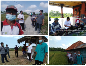 Evaluasi Kegiatan Bantuan Benih Padi Inbrida Apbn Tahun 2020