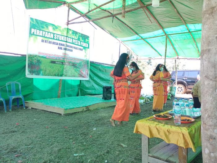 SYUKURAN PESTA PANEN BERSAMA BUPATI BULUNGAN DI DESA BINAI KEC. TANJUNG PALAS TIMUR