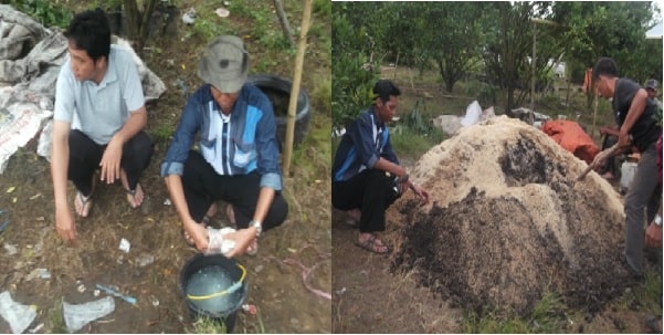 PEMBUATAN  KOMPOS TRICHODERMA  DAN  APLIKASINYA UNTUK PENGENDALIAN PENYAKIT PADA TANAMAN JERUK