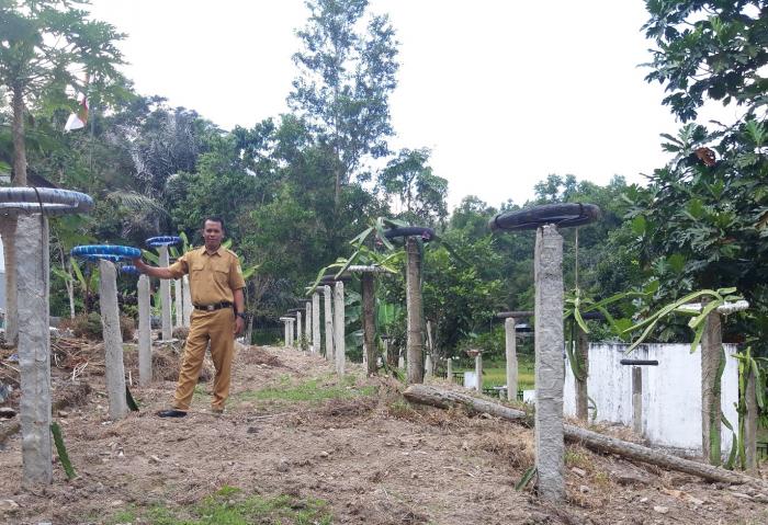 PERSIAPAN UNTUK PENANAMAN  BUAH NAGA