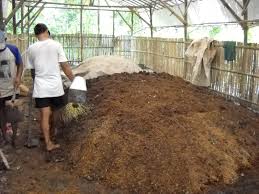 PEMBUATAN PUPUK ORGANIK HAYATI
