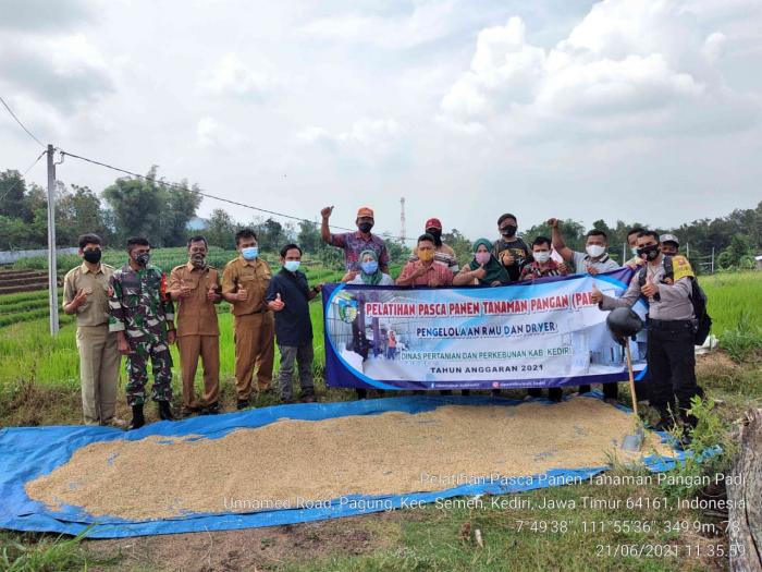 Genjot Kualitas Produksi Beras Kabupaten Kediri, Dinas Pertanian dan Perkebunan Adakan Pelatihan Pasca Panen Tanaman Pangan Padi