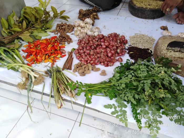 Cara Membuat Pestisida Nabati Bali Spice Pesticide