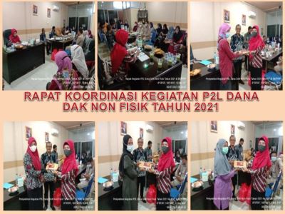 Rapat Koordinasi Kegiatan P2L Dana Dak Non Fisik Tahun 2021 Kabupaten Kepulauan Meranti