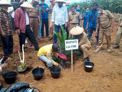 Gelar Tanam Perdana PSR, KJSU CAT Luwu Timur 