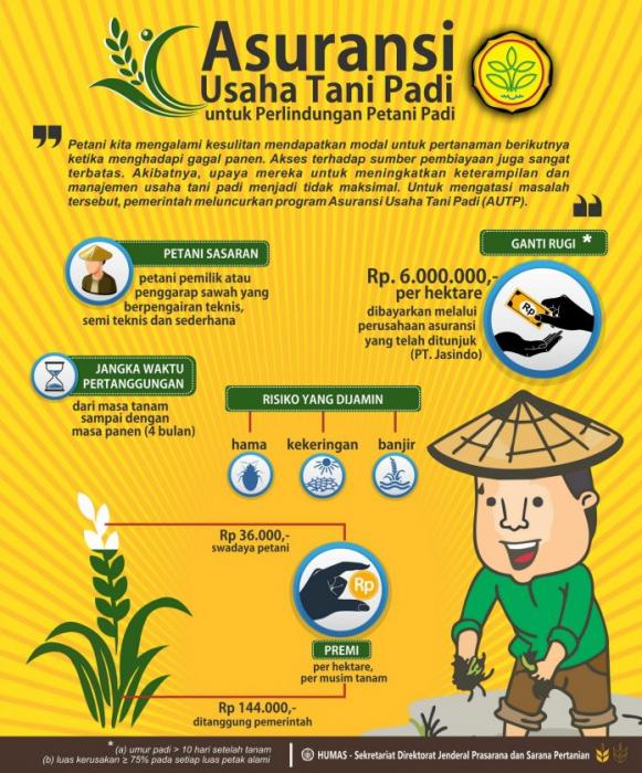 media semai tentukan kualitas pertumbuhan   tanaman hortikultura 