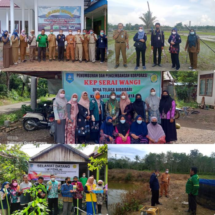 Verifikasi Lapangan Calon Penerima Penghargaan Kelembagaan dan Ketenagaan Penyuluhan Kalimantan Selatan Tahun 2021