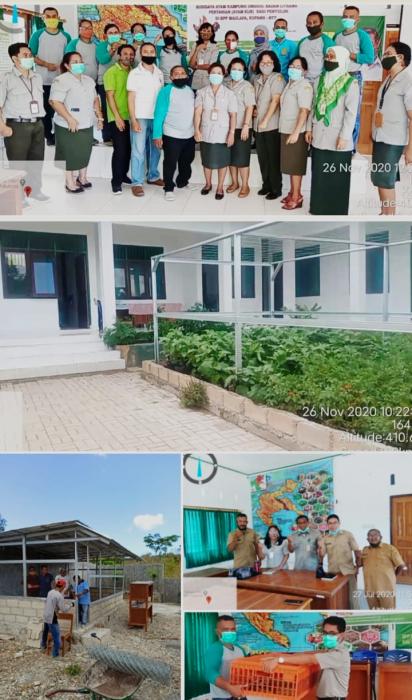 Pendampingan Bpp Model Kostratani Oleh BPTP-Balitbangtan-NTT Memberikan Warna Baru Bagi Performa Bpp Maulafa 