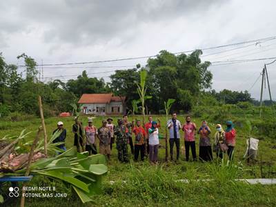 PENGEMBANGAN SI RAJA BULU