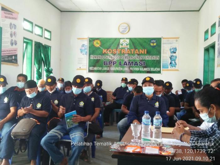 Pelatihan Tematik Agribisnis Tanaman Padi Bagi Non Aparatur Di BPP Lamasi