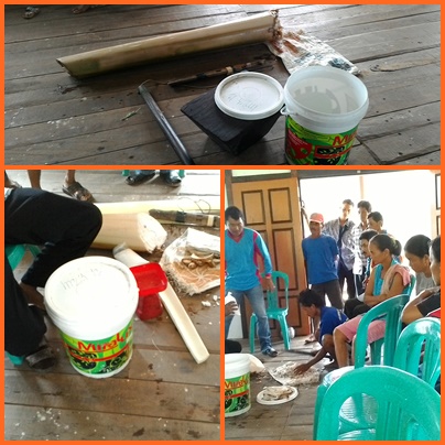 MOL BONGGOL PISANG HUTAN