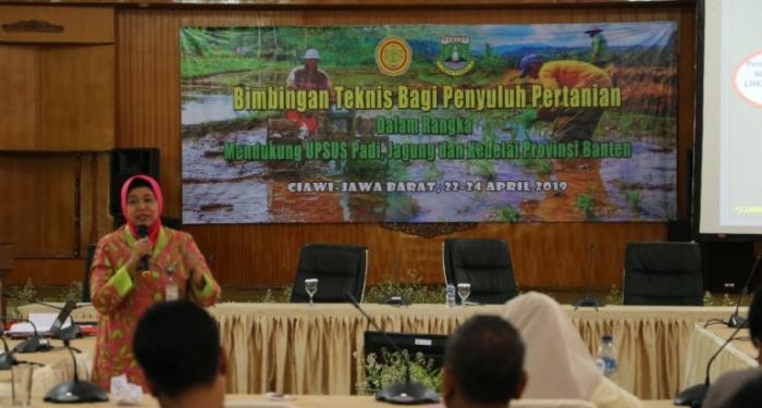 PENGENDALIAN HAMA PADA TANAMAN SAGU