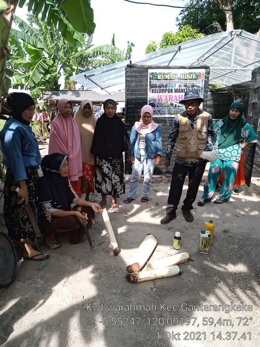 Kegiatan Penyuluhan Pembuatan POC dari Batang Pisang dan Sabut Kelapa di KWT Warahma desa Layoa Kab. Bantaeng