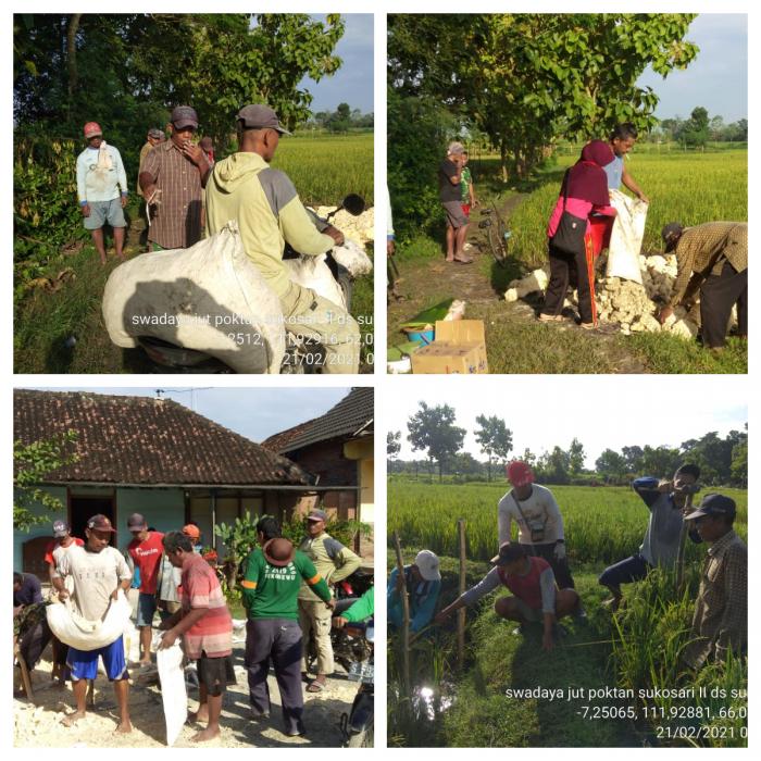 Pembangunan Jalan Usaha Tani Kelompok tani Sukosari II Desa Sukosewu Kec.Sukosewu