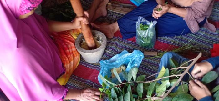 Pestisida Nabati Dalam Budidaya Tanaman Sehat