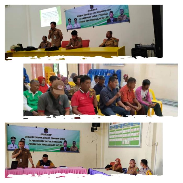 Sosialisasi Gerakan Tanam Cabe 100.000 Pohon  Di Kecamatan Nunukan Selatan