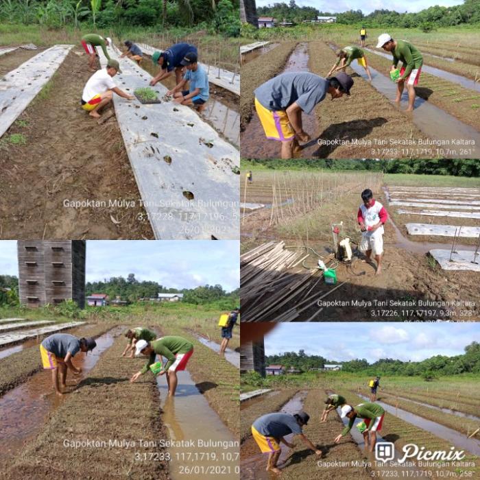 Genbi Generasi Baru Pertanian