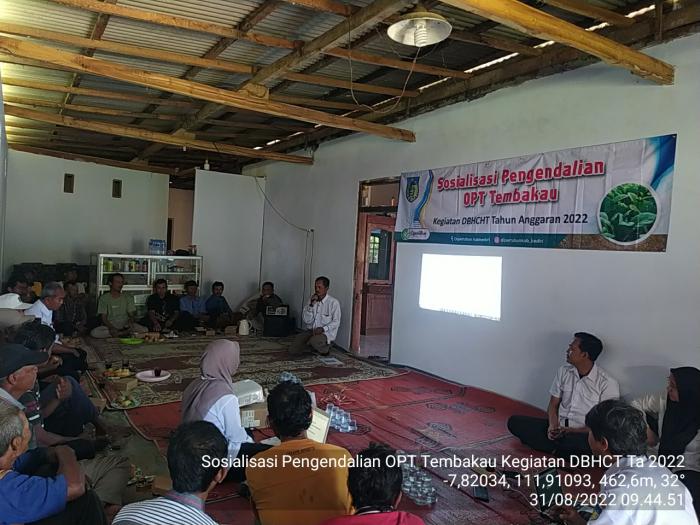 Sosialisasi Pengendalian Opt Tembakau Di Gapoktan Pagung Podo Mulyo Desa Pagung Kecamatan Semen Kab Kediri Dari Kegiatan Dbhcht Tahun Anggaran 2022