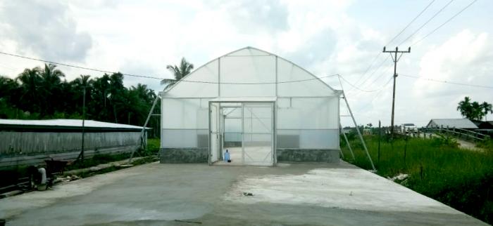 Kelompok Tani Harapan Maju Desa Langensari Akan Membuat Uv Dryer Untuk Mengeringkan Hasil Panen