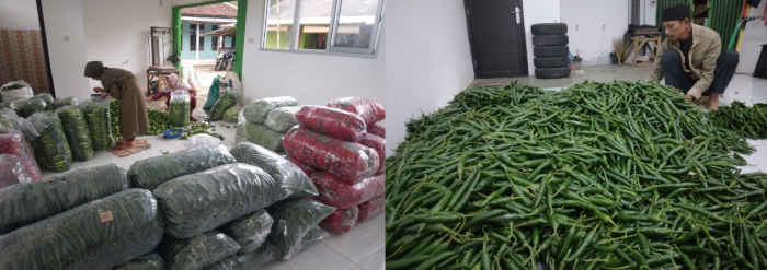 Rumah Penampungan Hasil (rph) Hortikultura Langkah Jitu tekan Food Looses Di Kabupaten Bogor