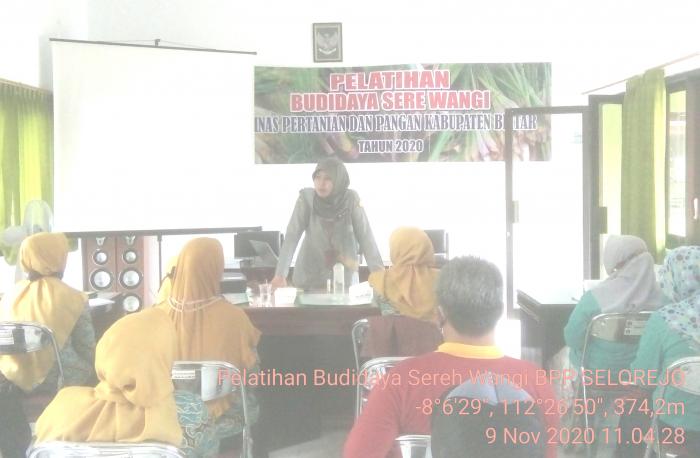 Pelatihan Budidaya Sereh Wangi Dinas Pertanian Dan Pangan Kab. Blitar Di Bpp Selorejo