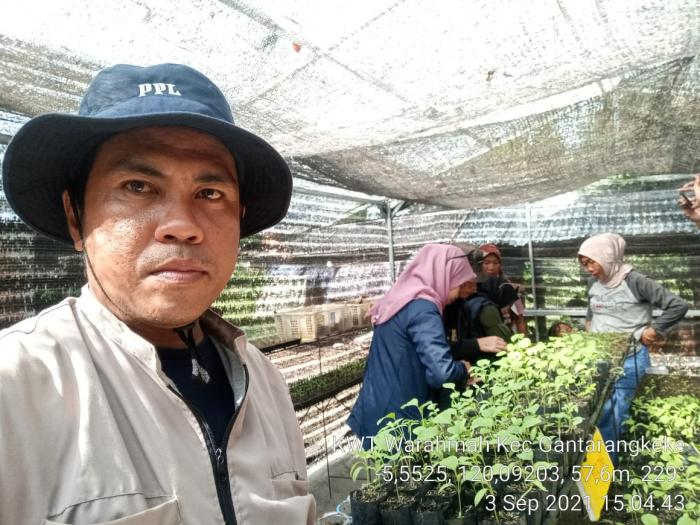 Kegiatan Penyuluhan Pembibitan Cabe dan Terong di KWT Warahma Desa Layoa Kec Gantarangkeke Kab Bantaeng