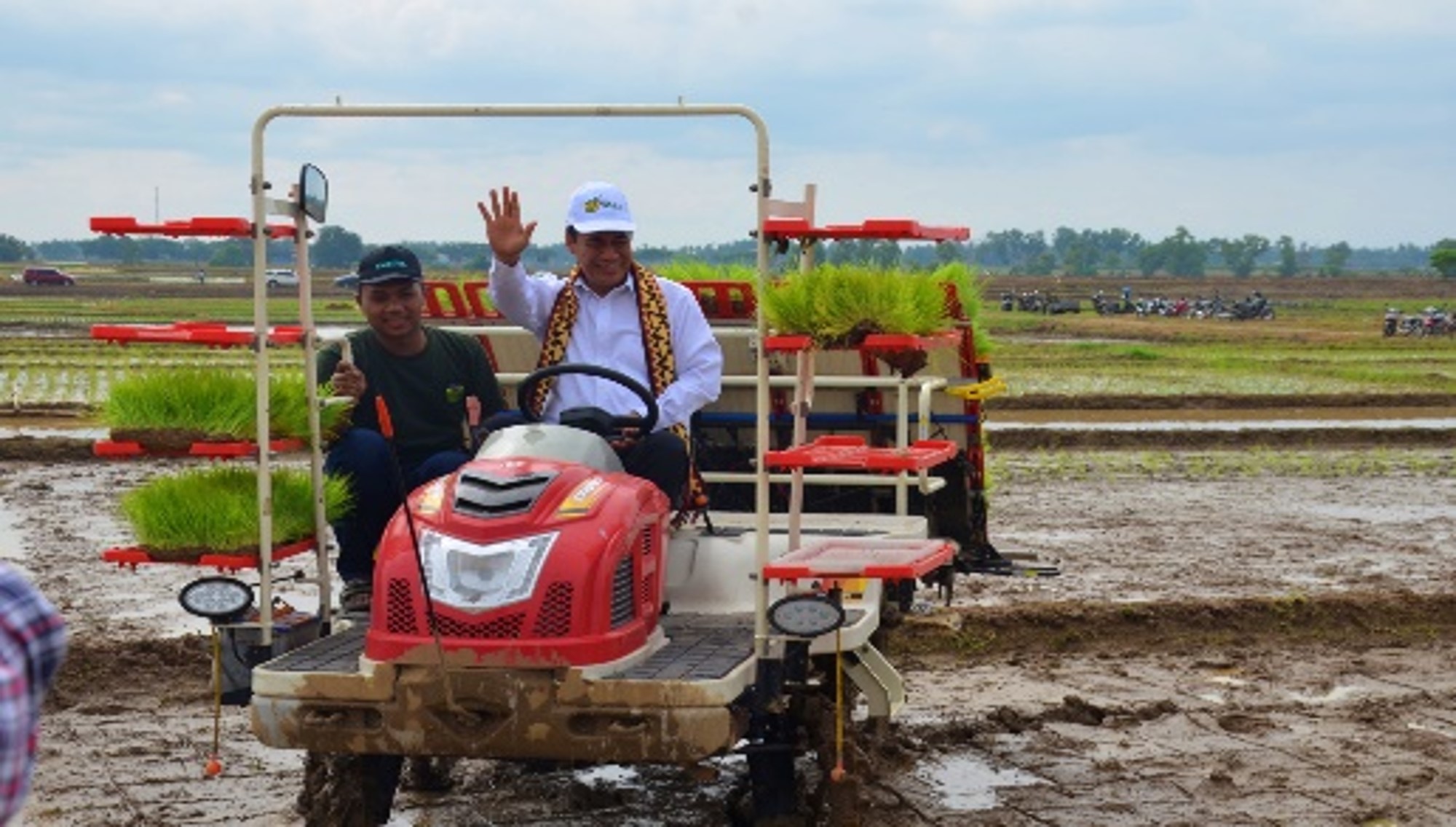 BUDIDAYA TANAMAN SINGKONG