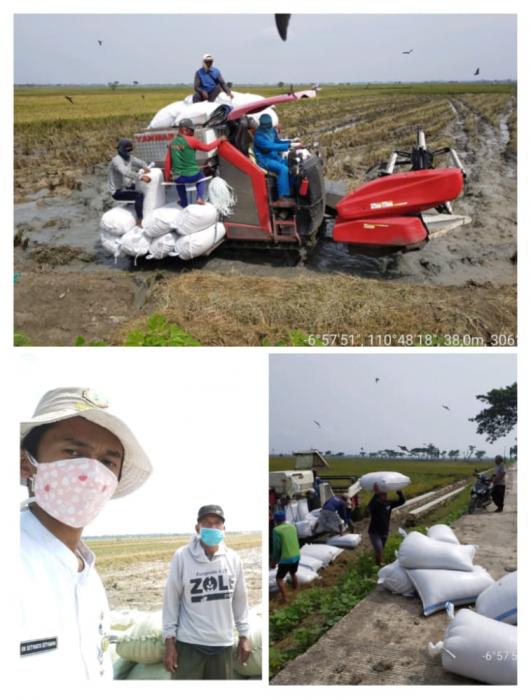 Pengamanan Pasokan Pangan Melalui Peningkatan Produksi di era PPKM Darurat