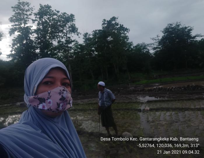 Memberikan informasi mengenai manfaat pupuk organik pada tanaman padi di KT Kampung Beru Desa Tombolo Kab. Bantaeng