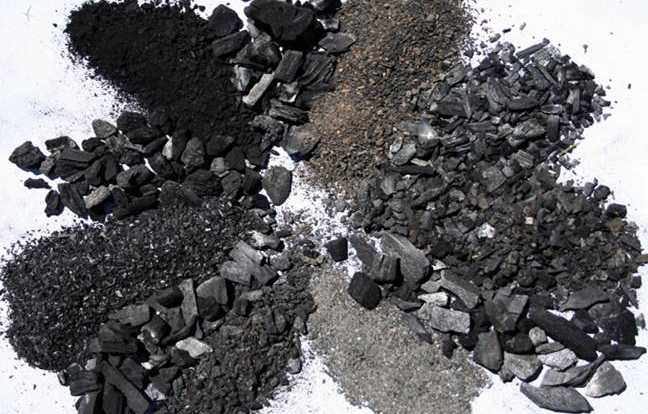 Pemanfaatan Cangkang Kelapa Sawit sebagai Biochar
