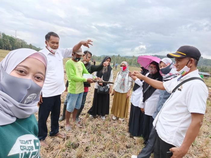 Gerakan Pengendalian OPT Tikus di Desa Watu Kecamatan Marioriwawo Kabupaten Soppeng