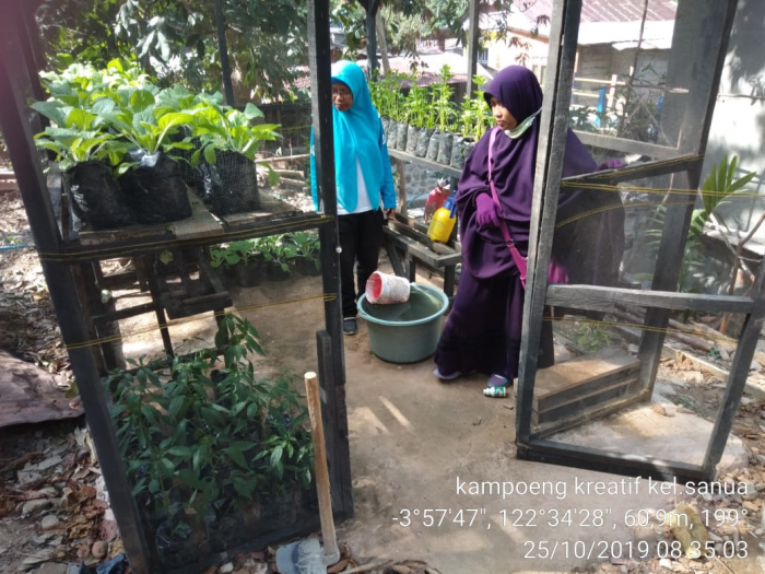 MAMFAAT ANJANG SANA KE KELOMPOK WANITA TANI  ( KWT )