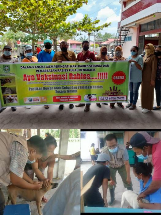 KEGIATAN VAKSINASI RABIES BAGI HEWAN PELIHARAAN DI KECAMATAN PINGGIR KAB.BENGKALIS 