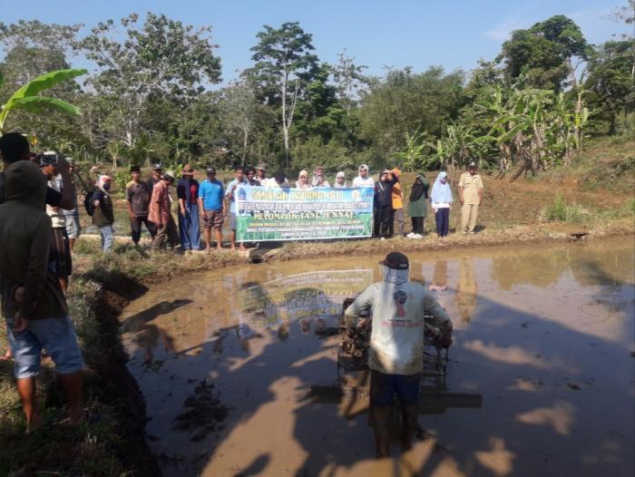 KEGIATAN SEKOLAH LAPANG PROGRAM IPDMIP BPP BENGO TELAH DI MULAI