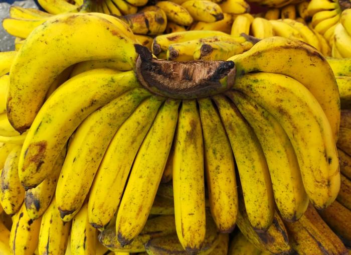 Manfaat Tanaman Pisang