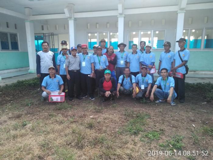 PENGOLAHAN TANAH LAHAN  RAWA