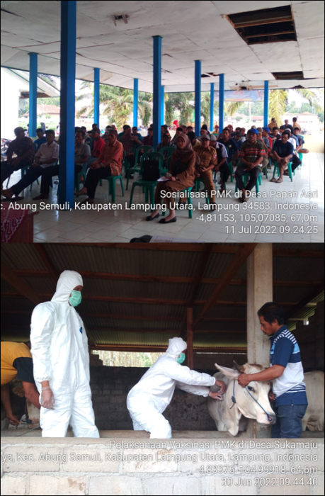 Giat Sosialisasi Dan Vaksinasi Penyakit Mulut Dan Kuku (pmk) Serta Penanganan Virus Pmk Di Wilayah Kecamatan Abung Semuli