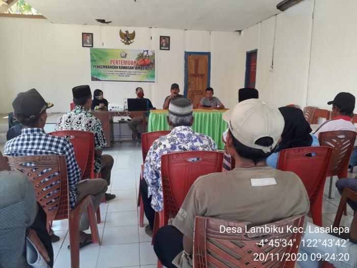 SOSIALISASI PENGEMBANGAN KOMODITAS JAMBU METE SAMBUNG PUCUK DESA LABUNTI KECAMATAN LASALEPA