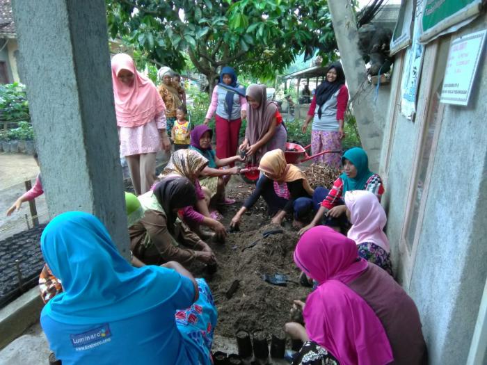 Membuat Bibit Sayuran 
