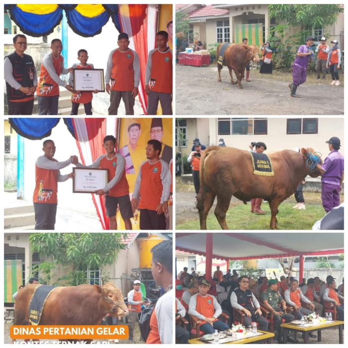 MERIAH Kontes Sapi Bulungan