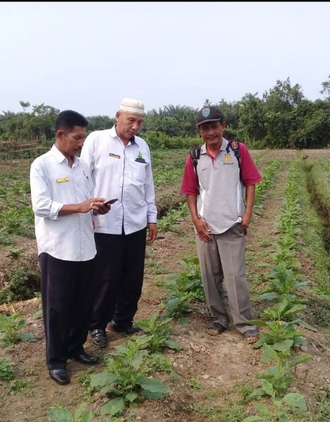 Peran Penyuluh Pertanian 