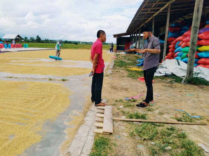 Menumpuknya Stok Gabah Dan Beras Dikecamatan Parigi Selatan