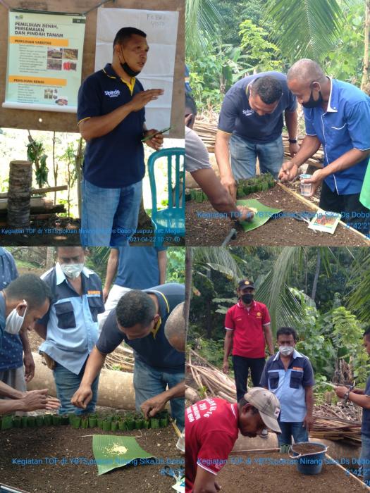 FARMER BUDIDAYA CABE SEBAGAI UPAYA UNTUK MENINGKATKAN PRODUKSI 
