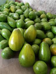 Merencanakan Panen Pisang