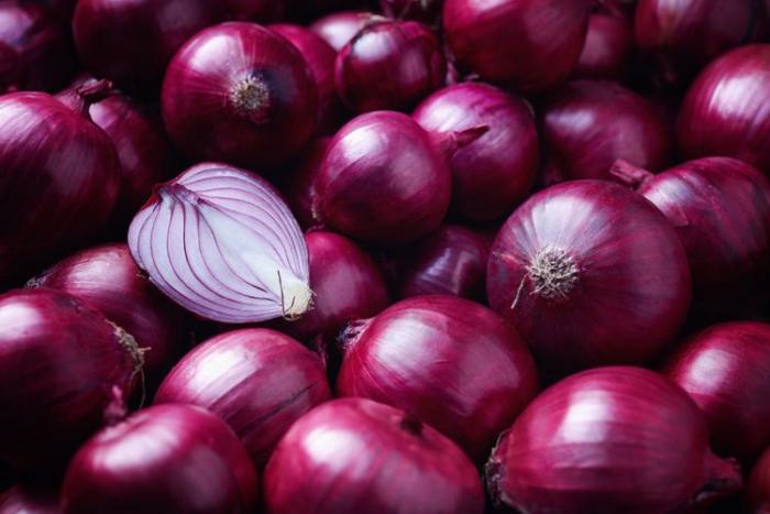 TEKNOLOGI BUDIDAYA BAWANG MERAH DILUAR MUSIM
