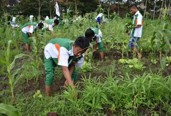 PERAN PARA PIHAK DALAM PERENCANAAN PROGRAM PENYULUHAN