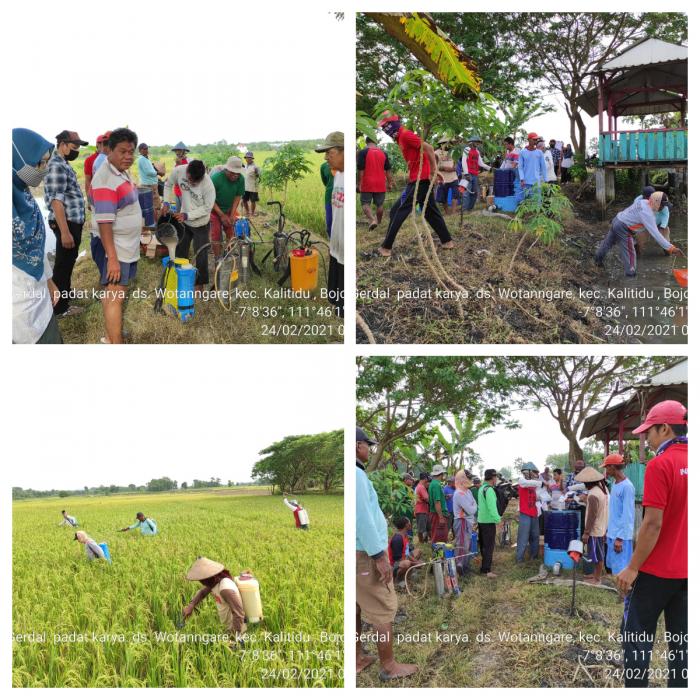 Peran Penyuluh Pertanian di masa Pandemi Covid 19 mendampingi Poktan Karya Tani 01 Desa Wotanngare Kecamatan Kalitidu Kabupaten Bojonegoro